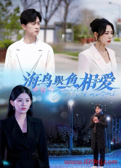《海鸟跟鱼相爱》短剧高清全集免费在线观看播放完整版