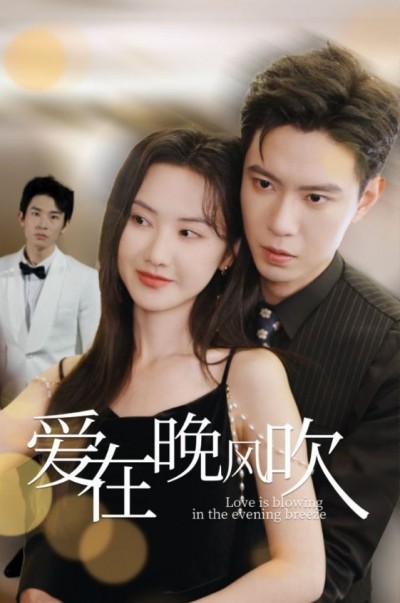 《爱在晚风吹》短剧高清全集免费在线观看播放完整版