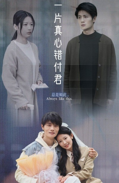 《一片真心错付君》短剧高清全集免费在线观看播放完整版