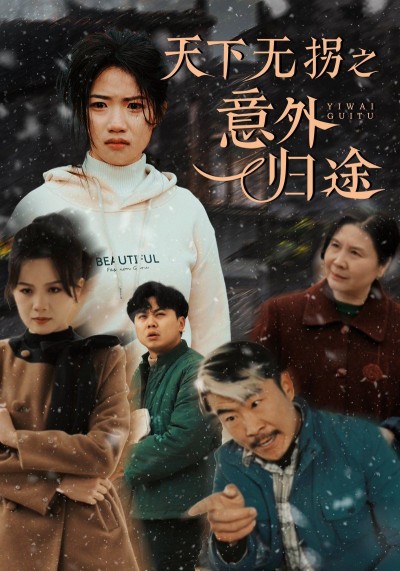 《天下无拐之意外归途》短剧高清全集免费在线观看播放完整版