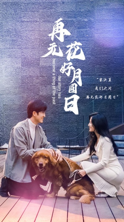 《再无花好月圆日》短剧高清全集免费在线观看播放完整版