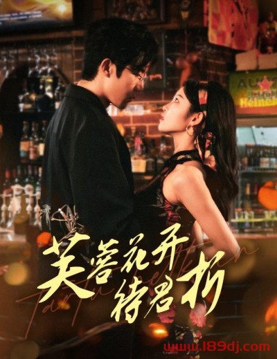 《芙蓉花开待君折》短剧高清全集免费在线观看播放完整版