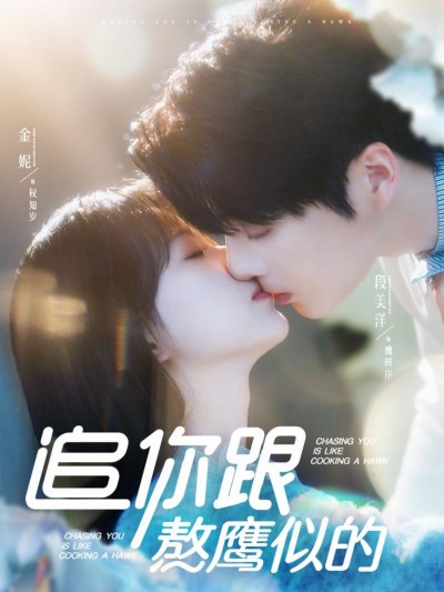《追你跟熬鹰似的》短剧高清全集免费在线观看播放完整版