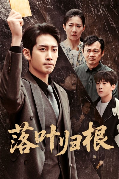 《落叶归根》短剧高清全集免费在线观看播放完整版