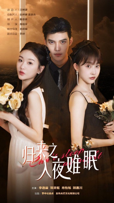 《归来之入夜难眠》短剧高清全集免费在线观看播放完整版