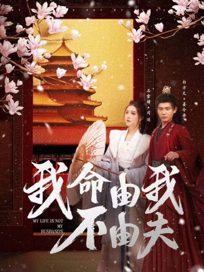 《我命由我不由夫》短剧高清全集免费在线观看播放完整版