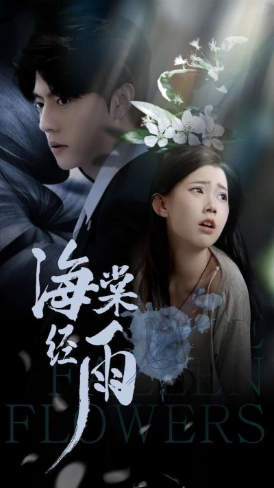 《海棠经雨》短剧高清全集免费在线观看播放完整版