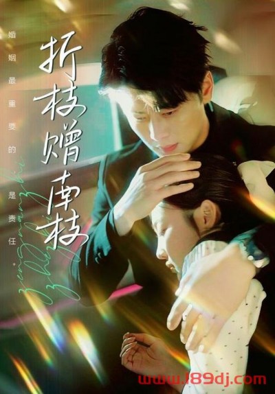 《折枝赠南枝》短剧高清全集免费在线观看播放完整版