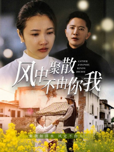 《风中聚散不由你我》短剧高清全集免费在线观看播放完整版