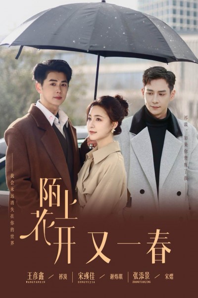 《陌上花开又一春》短剧高清全集免费在线观看播放完整版