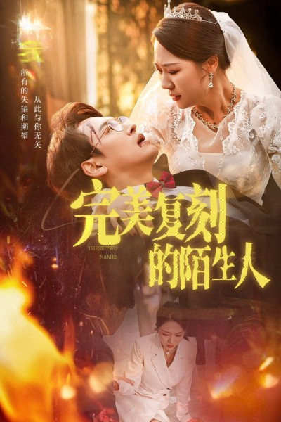 《完美复刻的陌生人》短剧高清全集免费在线观看播放完整版