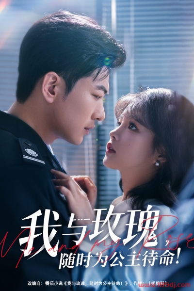 《我与玫瑰随时为公主待命》短剧高清全集免费在线观看播放完整版
