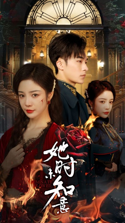 《她时未知意》短剧高清全集免费在线观看播放完整版