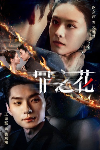 《罪之花》短剧高清全集免费在线观看播放完整版